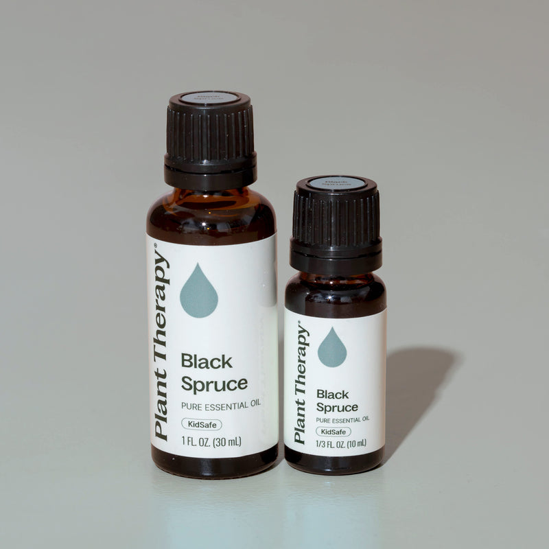 Plant Therapy Black Spruce Essential Oil Essential Oil