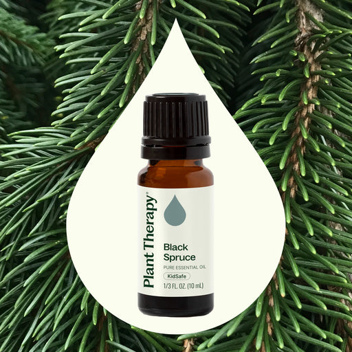Plant Therapy Black Spruce Essential Oil Essential Oil