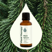 Plant Therapy Black Spruce Essential Oil Essential Oil