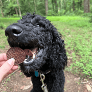 Farm To Pet Beef Chips Dog Treats | Single-Ingredient Healthy Treats for Dogs Chip