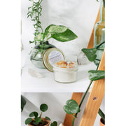 Butter Me Up Organics Blessings Candle / Intention Candle / Good Luck / Soy Handpoured Candle/ Candle with Crystals / Botanical Candle / Essential Oil Candle Metaphysical