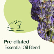 Plant Therapy Blissful Dreams Essential Oil Pre-Diluted Roll-On Essential Oil