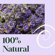 Plant Therapy Blissful Dreams Lavender Pillow Spray Household