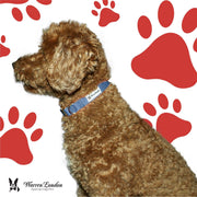 Warren London Fabric Dog Collar - Blue Leashes, Collars & Accessories