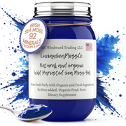 MG Windward Trading LLC Blue Spirulina Infused Organic Sea Moss Gel Herbal Gel
