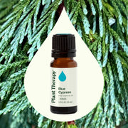 Plant Therapy Blue Cypress Essential Oil Essential Oil