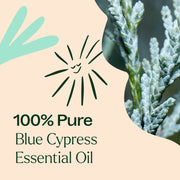 Plant Therapy Blue Cypress Essential Oil Essential Oil