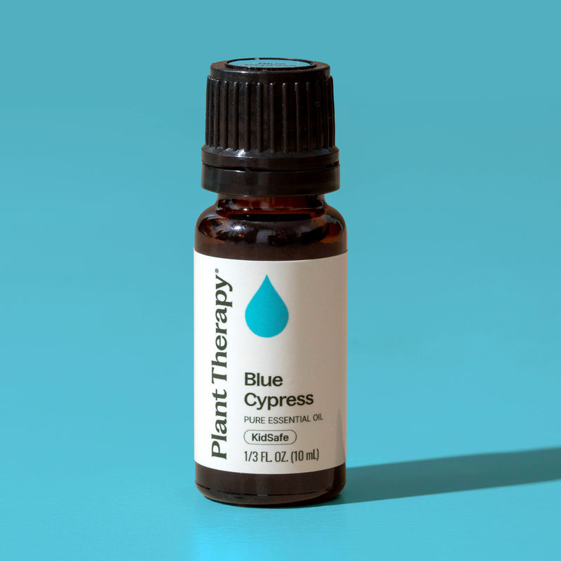 Plant Therapy Blue Cypress Essential Oil Essential Oil