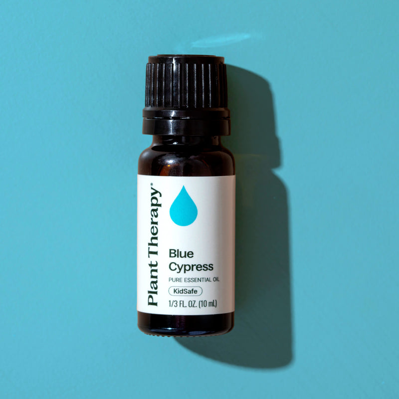 Plant Therapy Blue Cypress Essential Oil Essential Oil