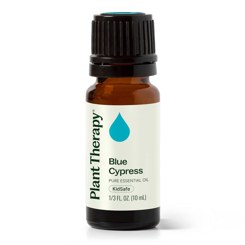 Plant Therapy Blue Cypress Essential Oil Essential Oil