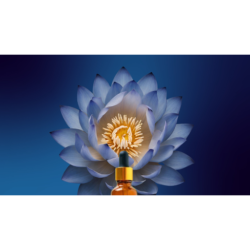 Altar Native Lucid ✦ Blue Lotus Drops Tincture
