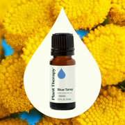 Plant Therapy Blue Tansy Essential Oil Essential Oil