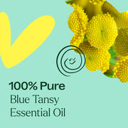 Plant Therapy Blue Tansy Essential Oil Essential Oil