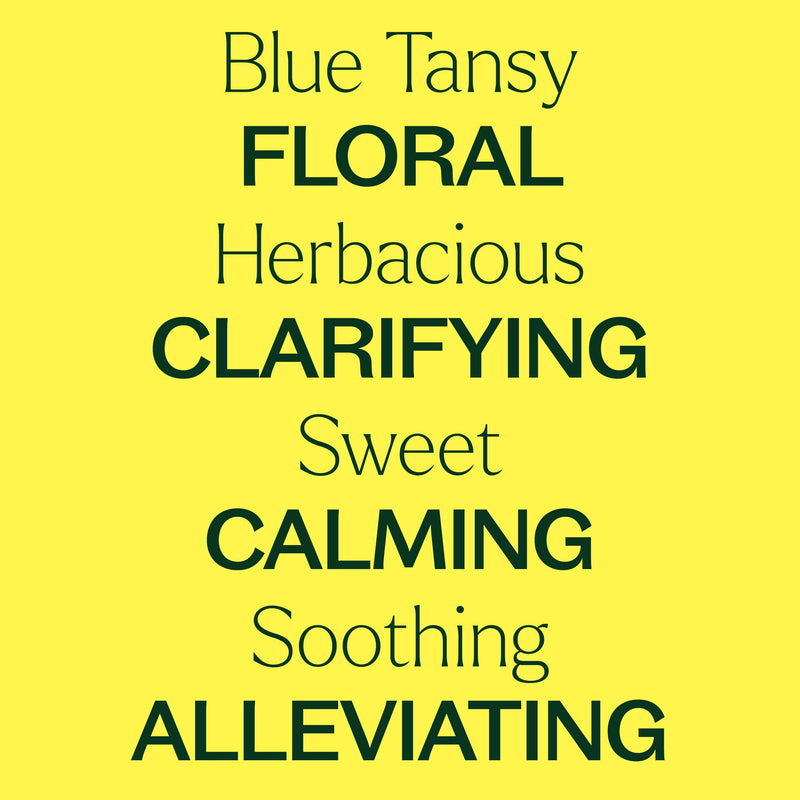 Plant Therapy Blue Tansy Essential Oil Essential Oil