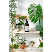 Butter Me Up Organics Organic Body Oil / Body Oil / Moisturizer / Organic Oils / Dry Skin Formula Body