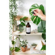 Butter Me Up Organics Organic Body Oil / Body Oil / Moisturizer / Organic Oils / Dry Skin Formula Body