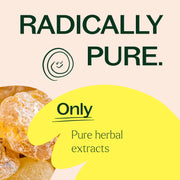 Plant Therapy Boswellia Herbal Supplement - 120 Capsules Supplement