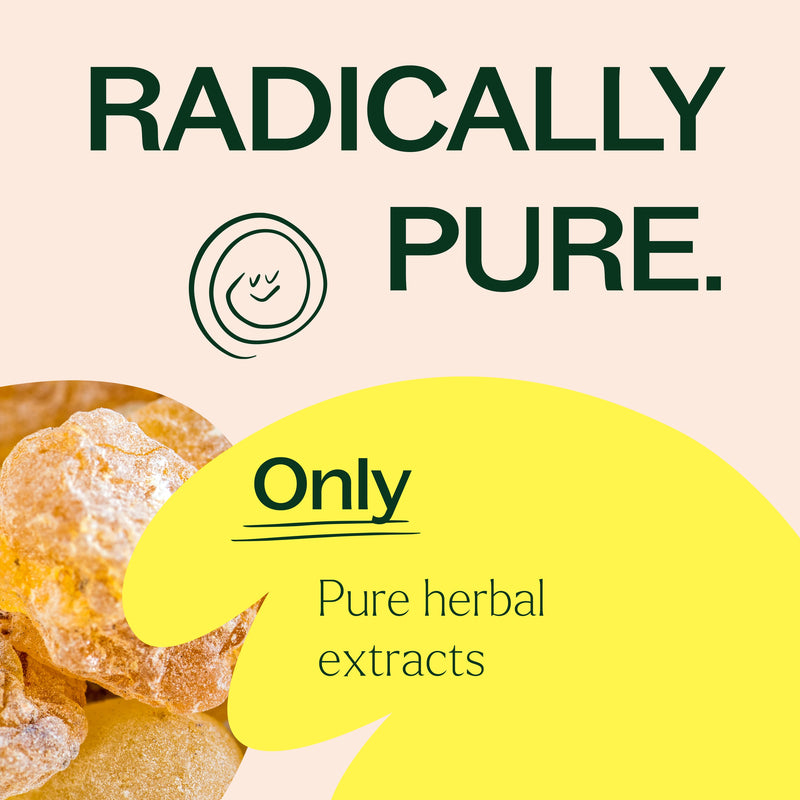 Plant Therapy Boswellia Herbal Supplement - 120 Capsules Supplement