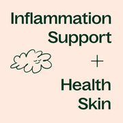 Plant Therapy Boswellia Herbal Supplement - 120 Capsules Supplement