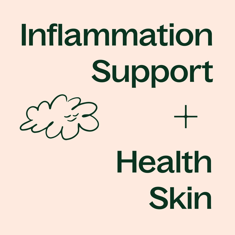 Plant Therapy Boswellia Herbal Supplement - 120 Capsules Supplement