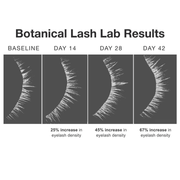 Contours Rx Botanical Lash & Brow Serum PRODUCTS