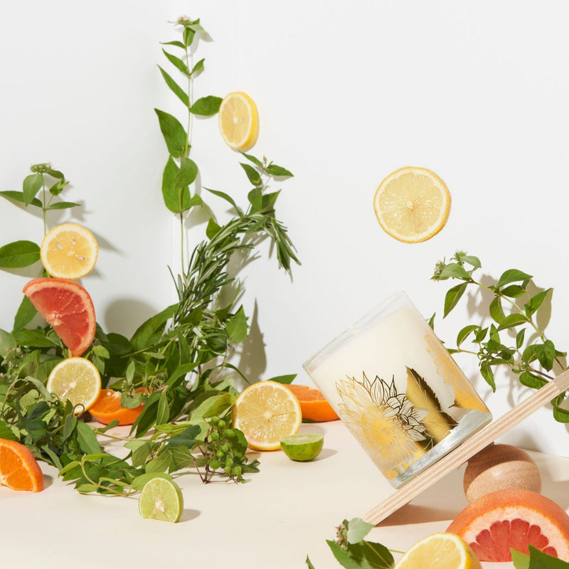 Wax Buffalo Wildflower