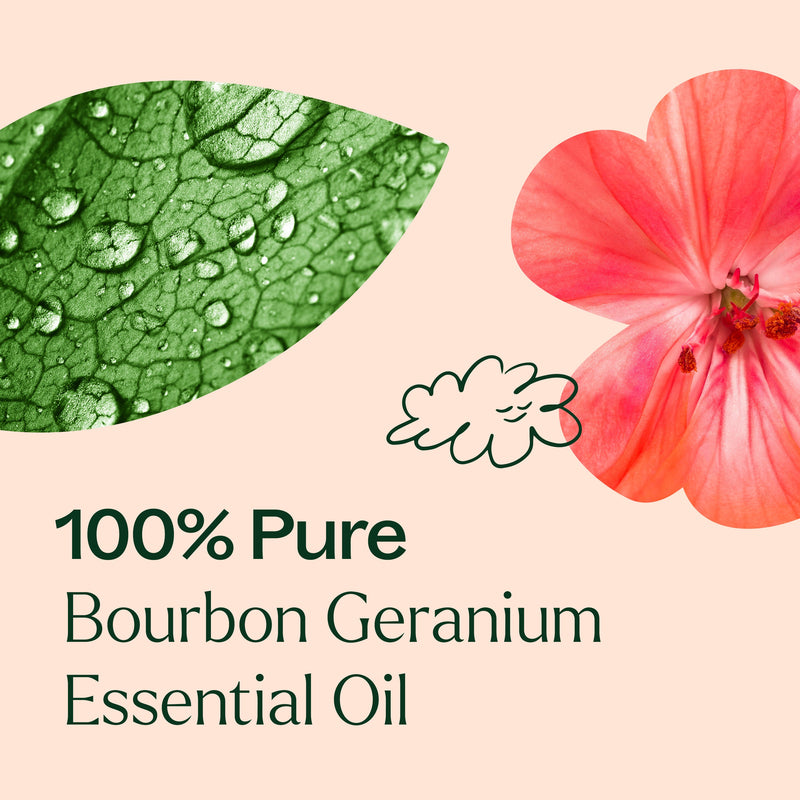 Plant Therapy Bourbon Geranium Essential Oil Essential Oil