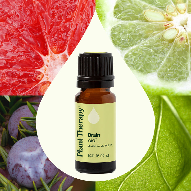 Plant Therapy Brain Aid Essential Oil Blend Essential Oil