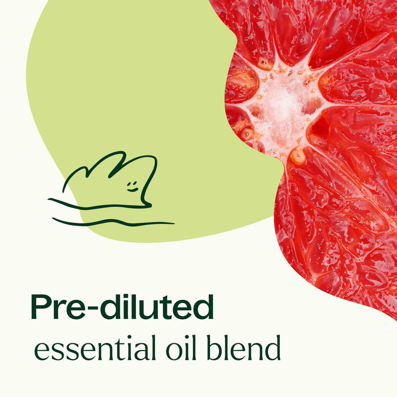 Plant Therapy Brain Aid Essential Oil Blend Pre-Diluted Roll-On Essential Oil