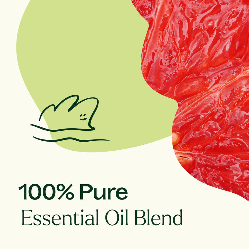 Plant Therapy Brain Aid Essential Oil Blend Essential Oil