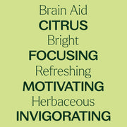 Plant Therapy Brain Aid Essential Oil Blend Essential Oil