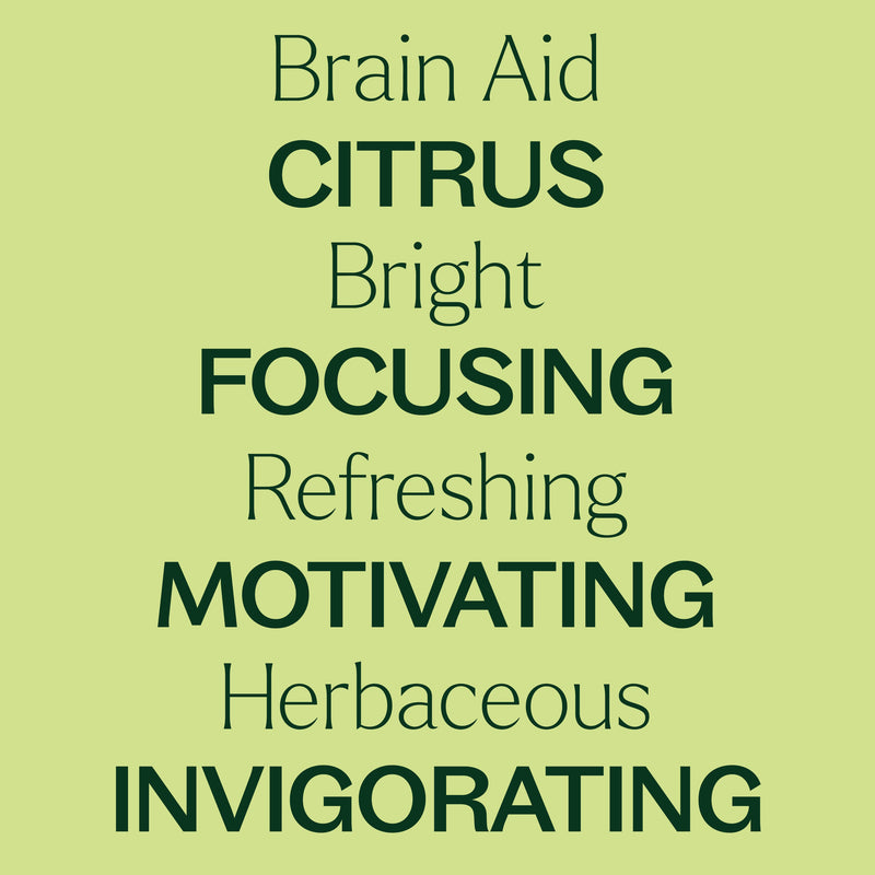 Plant Therapy Brain Aid Essential Oil Blend Essential Oil