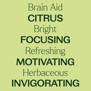 Plant Therapy Brain Aid Essential Oil Blend Pre-Diluted Roll-On Essential Oil