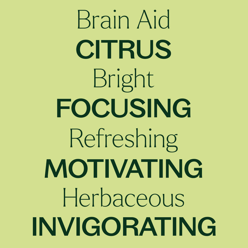 Plant Therapy Brain Aid Essential Oil Blend Pre-Diluted Roll-On Essential Oil