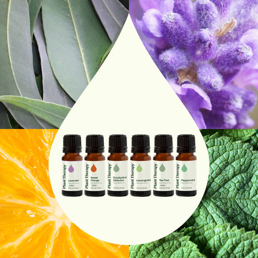 Plant Therapy Breathe Easy Set Essential Oil