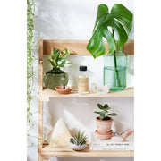 Butter Me Up Organics Organic Brightening Toner / Blemish Remover / Toner Face