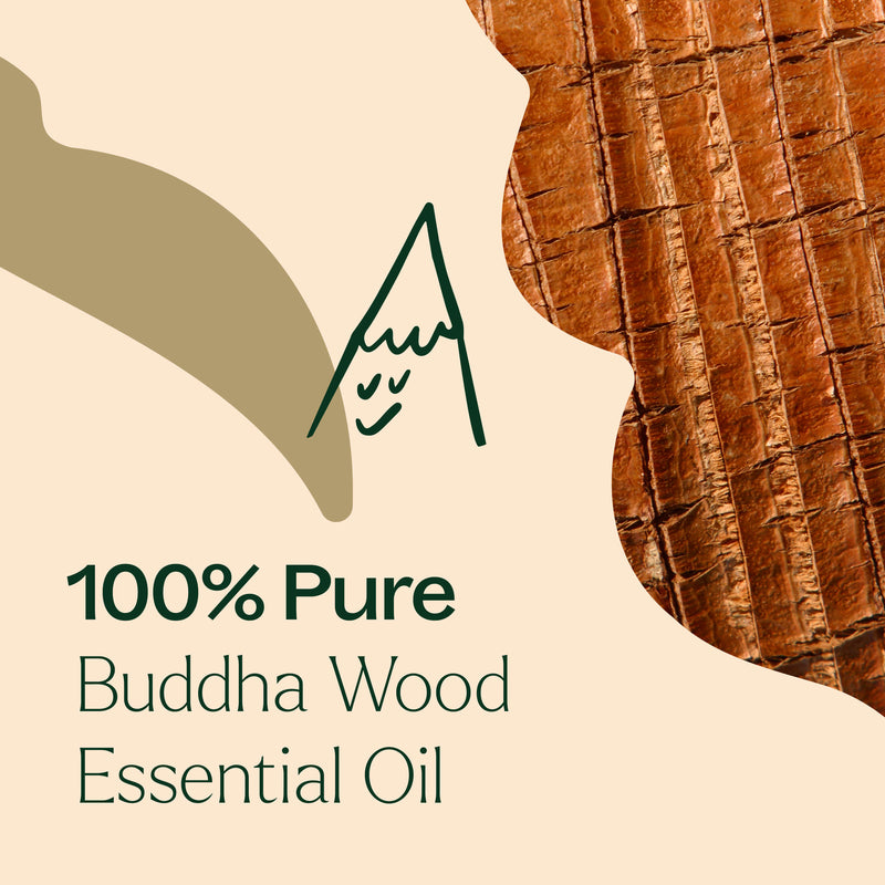Plant Therapy Buddha Wood Essential Oil Essential Oil