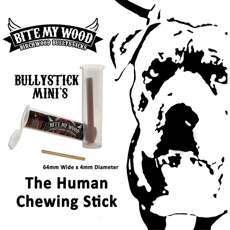 BiteMyWood Bully Stick 2.5" Mini - All Natural Birchwood Flavored Human Chewing Sticks | BiteMyWood Toothpicks