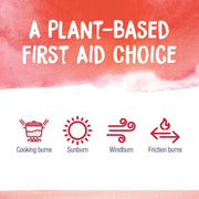 Boiron Boiron Calendula Skin Burn Relief Ointment 1 Oz Skin Burn Relief Ointment