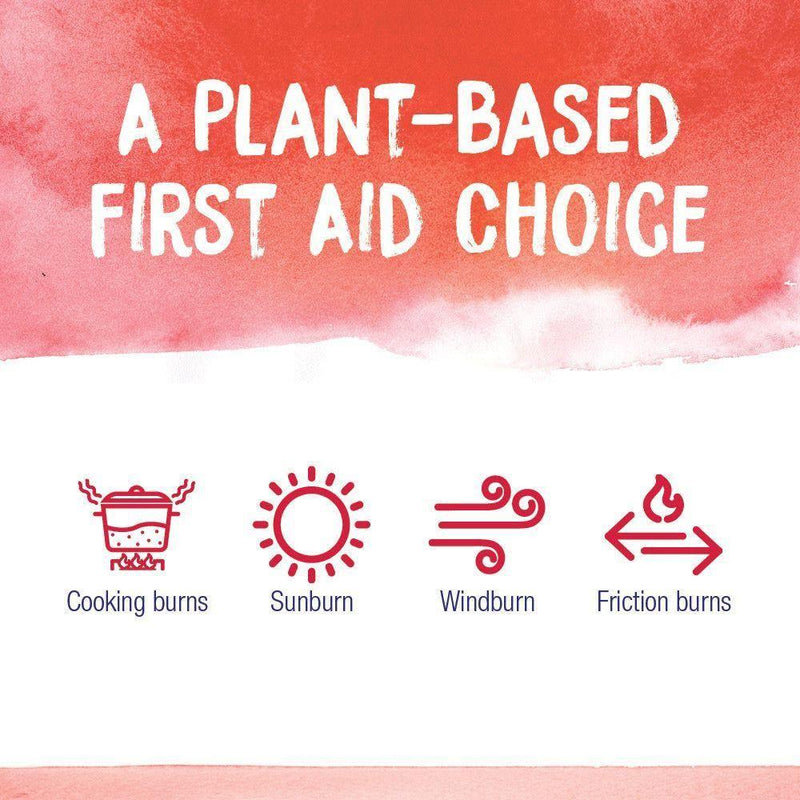 Boiron Boiron Calendula Skin Burn Relief Ointment 1 Oz Skin Burn Relief Ointment