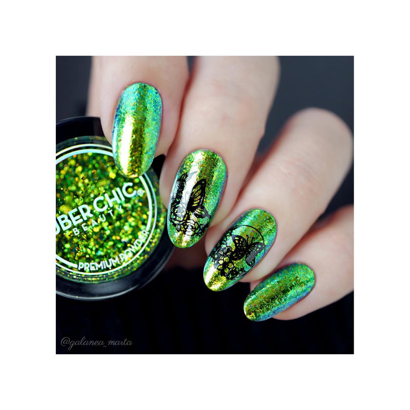 UberChic Beauty Butterflies Stamping Plate