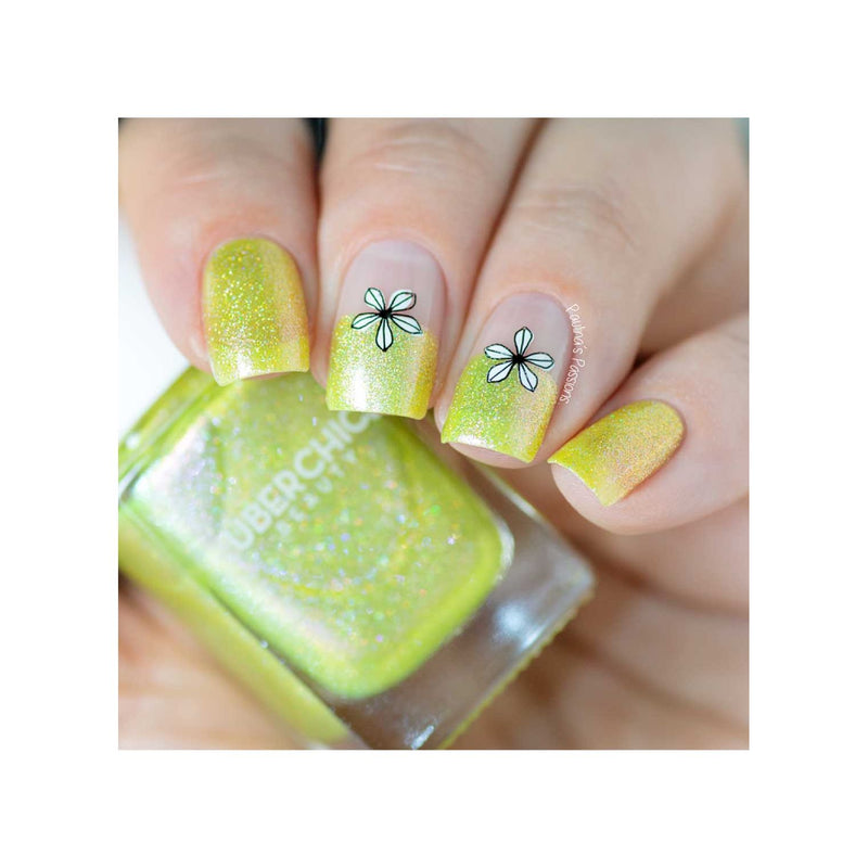 UberChic Beauty Secret Garden-02 Stamping Plate