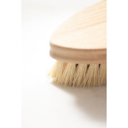 No Tox Life CASA AGAVE® Duo Tone Vegetable Brush | General Cleaning - No Tox Life® Home & Kitchen