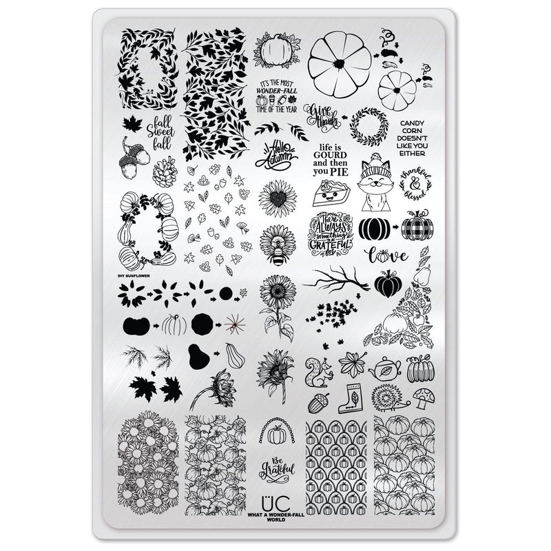 UberChic Beauty What A Wonder-Fall World Stamping Plate
