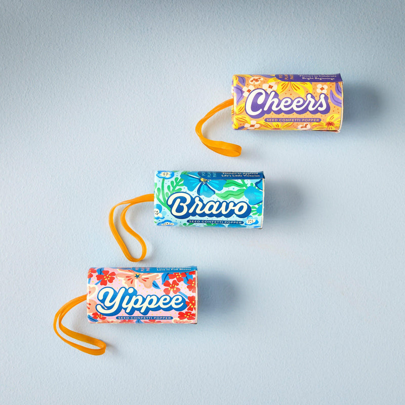 Modern Sprout Seed Confetti Popper Playful Planting