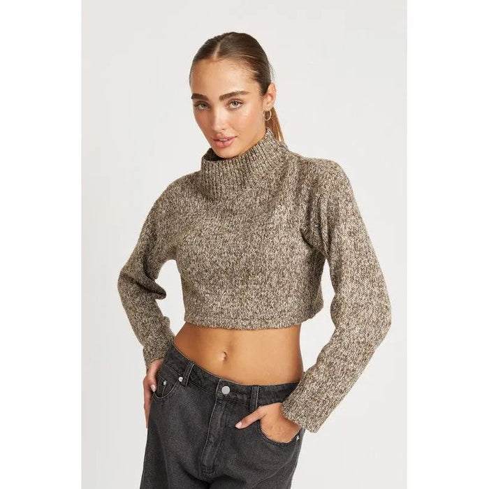 Contrasted Turtle Neck Crop Top