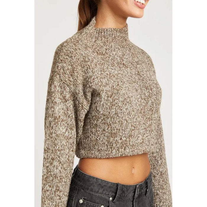 Contrasted Turtle Neck Crop Top