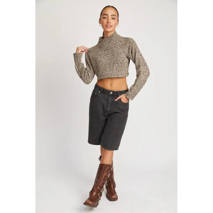 Contrasted Turtle Neck Crop Top