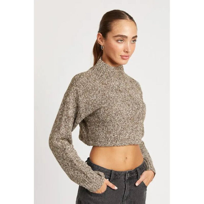 Contrasted Turtle Neck Crop Top