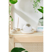 Butter Me Up Organics Organic Bath Bomb Calm Bomb- TWO SIZES lavender and chamomile bath fizzie Bath